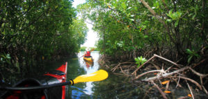 sea-kayaking-trip-ile-ambre-mauritius