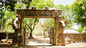 Casela-park-safari-mauritius